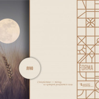 Декор ЛДСП Lamarty Луно